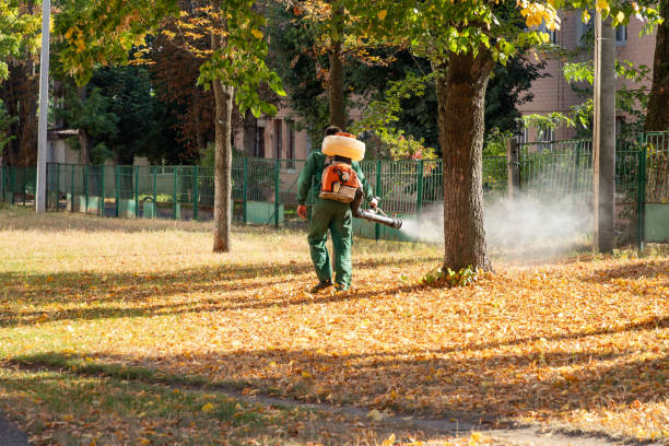 Best Best Pest Control Companies  in Chestertown, MD